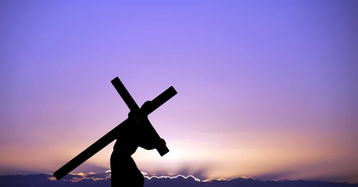 Isaiah 46 4 He will carry you