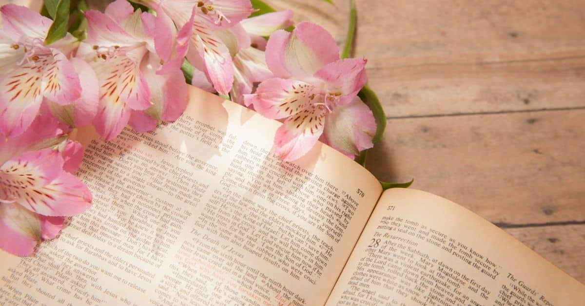Best Selling Daily Devotional Books