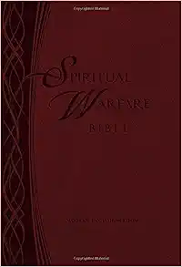 my favorite bible translation